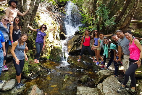 7-Day Super Value Tour Of Tasmania: Explore Tasmania's West And East Coasts - Hotel WA 2