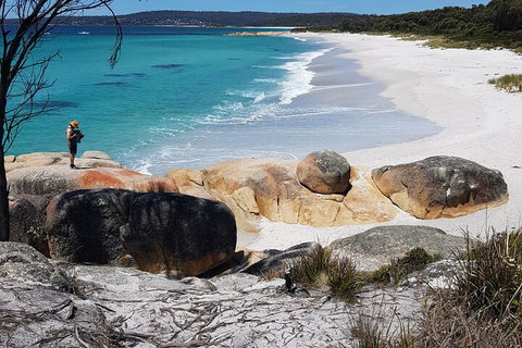 2-Day Tas East Coast Escape Tour Including Bay Of Fires, Wineglass Bay & Devils - Hotel WA 4