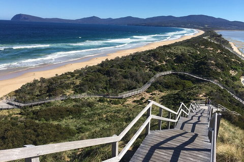 4-Day Fabulous Tasmania Tour: Wineglass Bay, Port Arthur, Devils & Bruny Island - Hotel WA 5