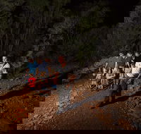 Alice Springs Desert Park Nocturnal Tour - Hotel WA