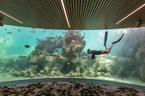 Whitehaven Beach And Daydream Island Cruise - Hotel WA 4