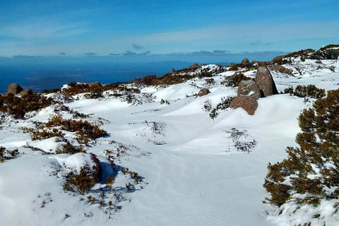 Mount Wellington Ultimate Experience Tour From Hobart - Hotel WA 1