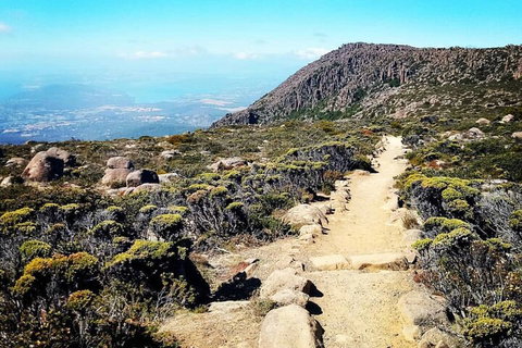 Mount Wellington Ultimate Experience Tour From Hobart - Hotel WA 5