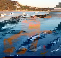 Adventure Moreton Island Wrecks Adventure Package - Hotel WA