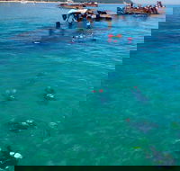 Adventure Moreton Island Scuba Dive Tour - Hotel WA