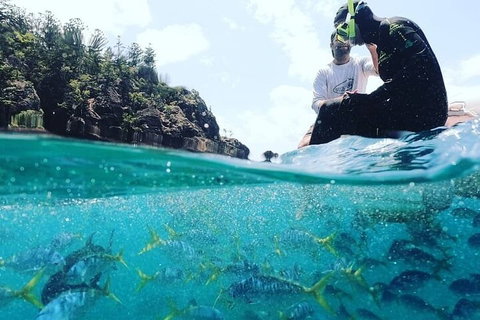 2 Night Small Group Whitsundays Sailing Adventure Aboard Mandrake - Hotel WA 5