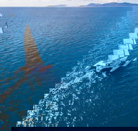 2-Night Whitsunday Islands Sailing Adventure on Trimaran Avatar - Hotel WA