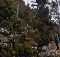 kunanyi / Mt. Wellington Guided Hiking Tour - Hotel WA