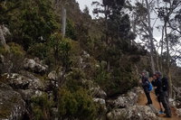 kunanyi / Mt. Wellington Guided Hiking Tour, Hobart