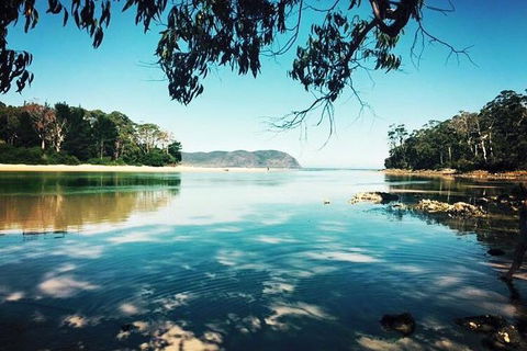 Full-Day Guided Bruny Island Tour From Hobart - Hotel WA 1