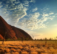 Highlights of Uluru Including Sunrise and Breakfast - Hotel WA