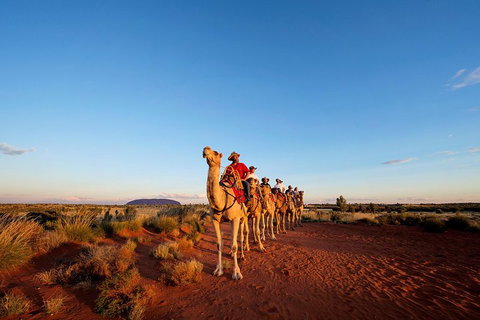 Uluru Small-Group Tour By Camel At Sunrise Or Sunset - Hotel WA 3