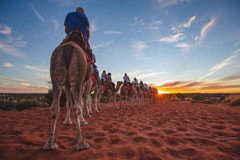 Uluru Small-Group Tour By Camel At Sunrise Or Sunset - Hotel WA 5