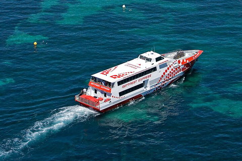 Discover Rottnest With Ferry & Bus Tour From Perth Or Fremantle - Hotel WA 3