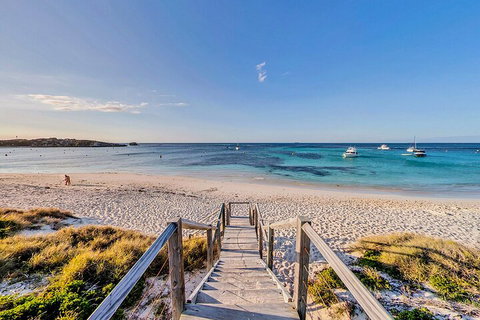 Discover Rottnest With Ferry & Bus Tour From Perth Or Fremantle - Hotel WA 4