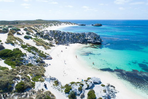 Discover Rottnest With Ferry & Bus Tour From Perth Or Fremantle - Hotel WA 5