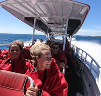 Adventure Rottnest Tour with Ferry  Adventure Cruise from Perth or Fremantle - Hotel WA