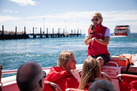 Adventure Rottnest Tour With Ferry & Adventure Cruise From Perth Or Fremantle - Hotel WA 4
