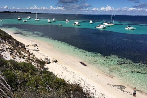 Experience Rottnest With Ferry & Bike Hire From Perth Or Fremantle - Hotel WA 0