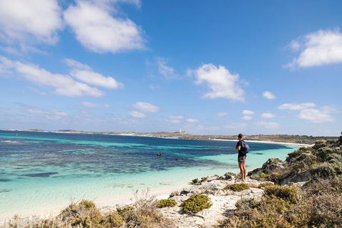 Experience Rottnest With Ferry & Bike Hire From Perth Or Fremantle - Hotel WA 3
