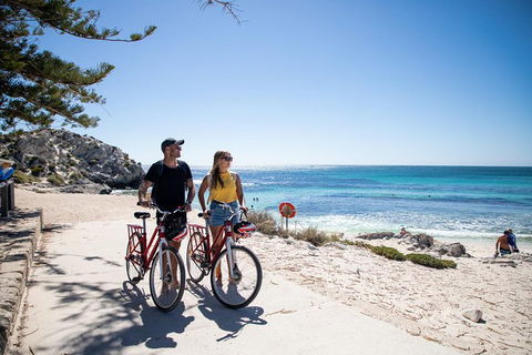 Experience Rottnest With Ferry & Bike Hire From Perth Or Fremantle - Hotel WA 4