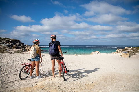 Experience Rottnest With Ferry & Bike Hire From Perth Or Fremantle - Hotel WA 5