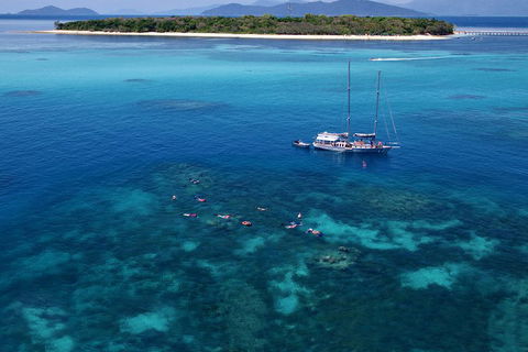 Ocean Free Green Island & Great Barrier Reef Snorkel Cruise, Cairns 25 Guests - Hotel WA 2