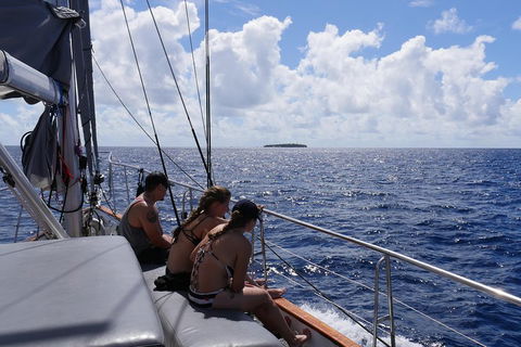 Ocean Free Green Island & Great Barrier Reef Snorkel Cruise, Cairns 25 Guests - Hotel WA 4