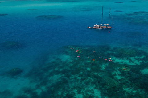 Ocean Free Green Island & Great Barrier Reef Snorkel Cruise, Cairns 25 Guests - Hotel WA 5