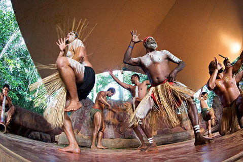 Kuranda Highlights Including Rainforestation Aboriginal Culture And Wildlife - Hotel WA 1