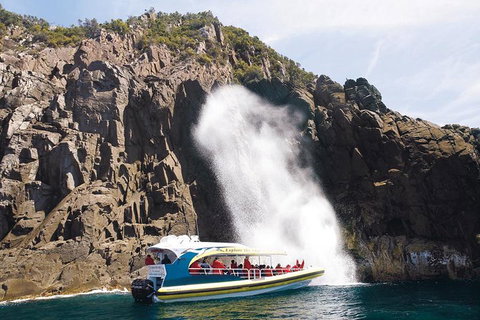 Full-Day Bruny Island Cruises Day Tour From Hobart - Hotel WA 4