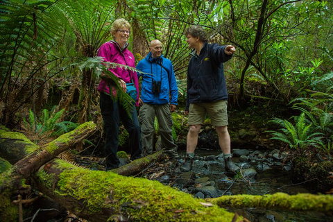 Bruny Island Traveller - Gourmet Tasting And Sightseeing Day Trip From Hobart - Hotel WA 1