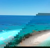 Ocean Safari Great Barrier Reef Experience in Cape Tribulation - Hotel WA