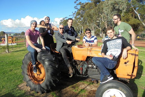 1/2 Day Swan Valley Wine Cheese & Chocolate Tour Inc Afternoon Cruise To Perth - Hotel WA 1