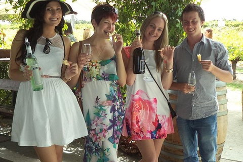 1/2 Day Swan Valley Wine Cheese & Chocolate Tour Inc Afternoon Cruise To Perth - Hotel WA 4