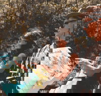 Springbrook andTamborine Rainforest Tour Incl Natural Bridge and Glow Worm Cave - Hotel WA