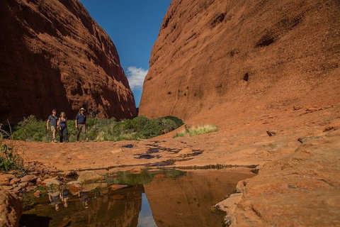 4 Day/3 Night Perentie Dreaming Safari - Hotel WA 3