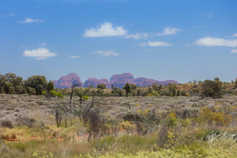 Overnight Uluru (Ayers Rock) Small-Group Camping Tour - Hotel WA 0