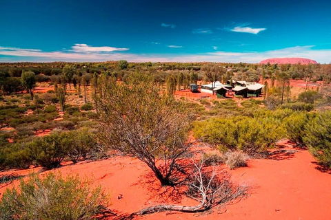 Overnight Uluru (Ayers Rock) Small-Group Camping Tour - Hotel WA 2