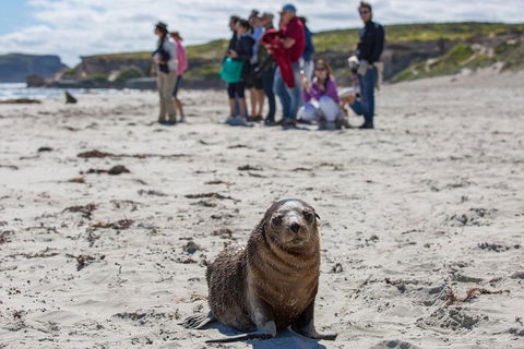 Kangaroo Island In A Day Tour From Adelaide - Hotel WA 0