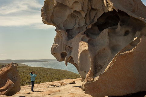Kangaroo Island In A Day Tour From Adelaide - Hotel WA 5