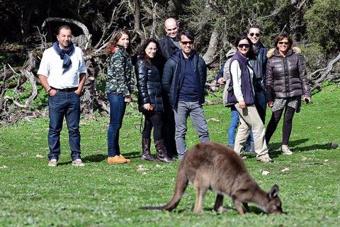 2-Day Kangaroo Island 4WD Small-Group Tour From Adelaide - Hotel WA 1