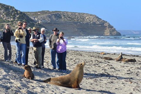 2-Day Kangaroo Island 4WD Small-Group Tour From Adelaide - Hotel WA 3