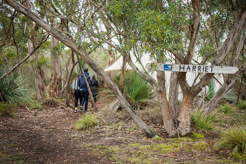 2-Day Kangaroo Island 4WD Small-Group Tour From Adelaide - Hotel WA 5