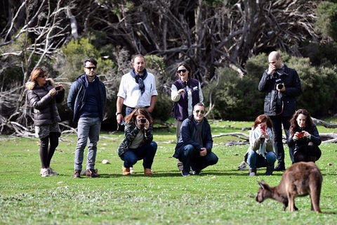 Small-Group Kangaroo Island 4WD Tour From Adelaide - Hotel WA 2
