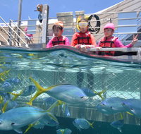 Outer Reef Pontoon Experience from Cairns - Hotel WA