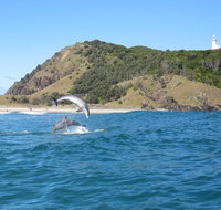 Kayaking with Dolphins in Byron Bay Guided Tour - Hotel WA