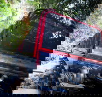 Blue Mountains Hop-on Hop-off Tour with Optional Scenic World Rides - Hotel WA