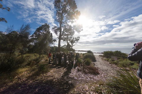 Bruny Island Day Tour, Includes Lunch And Exclusive Lighthouse Tour - Hotel WA 5