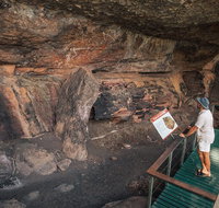 Kakadu National Park Wildlife and Ubirr Rock Art Tour from Darwin City - Hotel WA